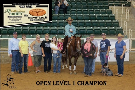 Reining Horse Trainers