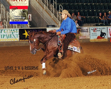 reining horse trainers
