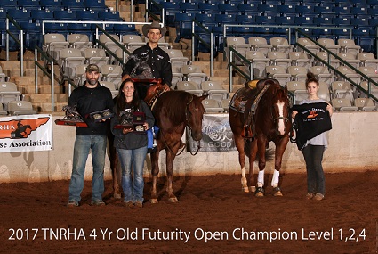 reining horse trainers