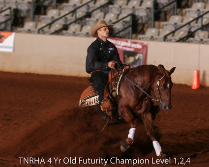 reining horse trainer