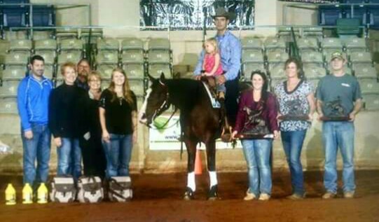 reining horse trainers